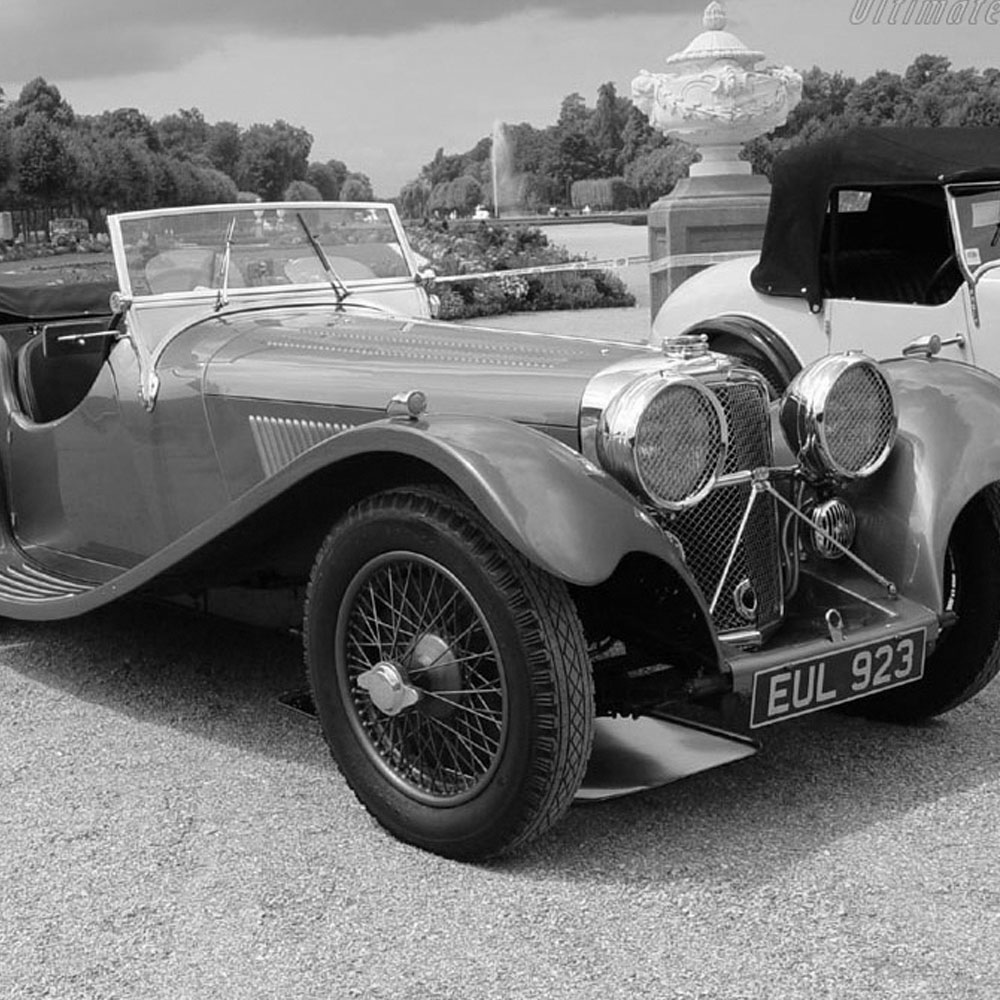 Vintage jaguar parked in front of gardens